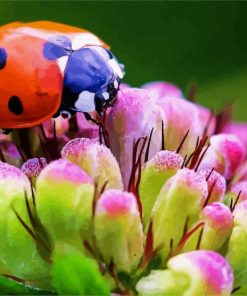 Ladybeetle On Flower Diamond Paintings