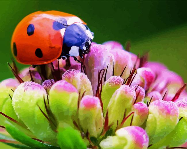 Ladybeetle On Flower Diamond Paintings