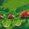 Ladybeetles Diamond Paintings