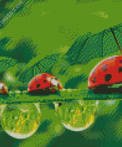 Ladybeetles Diamond Paintings