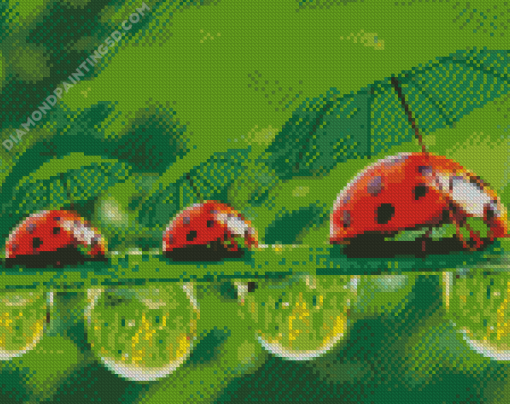 Ladybeetles Diamond Paintings