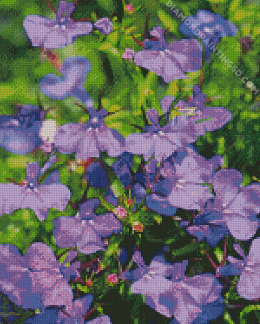 Lobelia Flowers Diamond Paintings