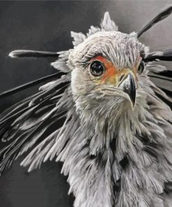 Monochrome The Secretarybird Diamond Paintings