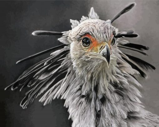 Monochrome The Secretarybird Diamond Paintings