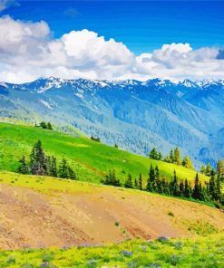 Olympic Hurricane Ridge Diamond Paintings