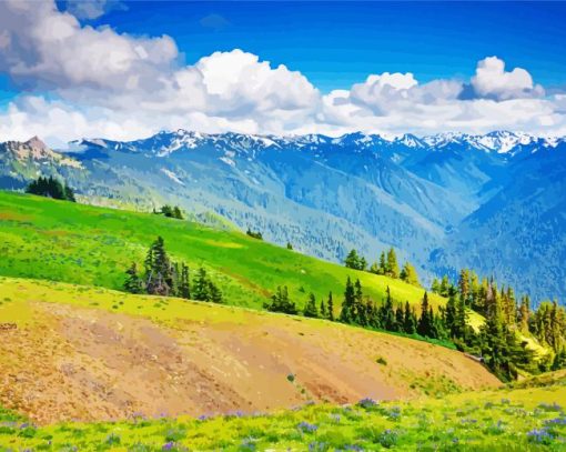 Olympic Hurricane Ridge Diamond Paintings