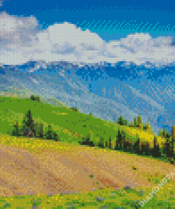 Olympic Hurricane Ridge Diamond Paintings