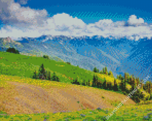 Olympic Hurricane Ridge Diamond Paintings