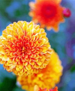 Orange Chrysanthemums Chinese Flowers Diamond Paintings