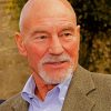 Patrick Stewart Diamond Paintings