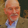 Patrick Stewart Diamond Paintings