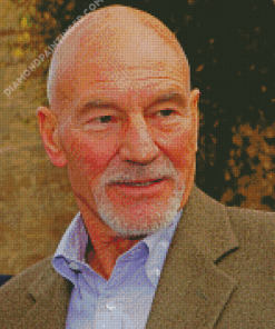 Patrick Stewart Diamond Paintings