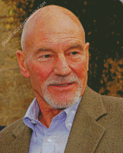 Patrick Stewart Diamond Paintings