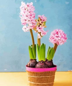 Pink Hyacinth Diamond Paintings