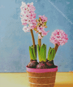 Pink Hyacinth Diamond Paintings