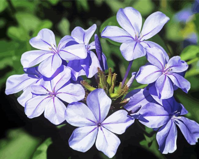 Plumbago Flowers Diamond Paintings