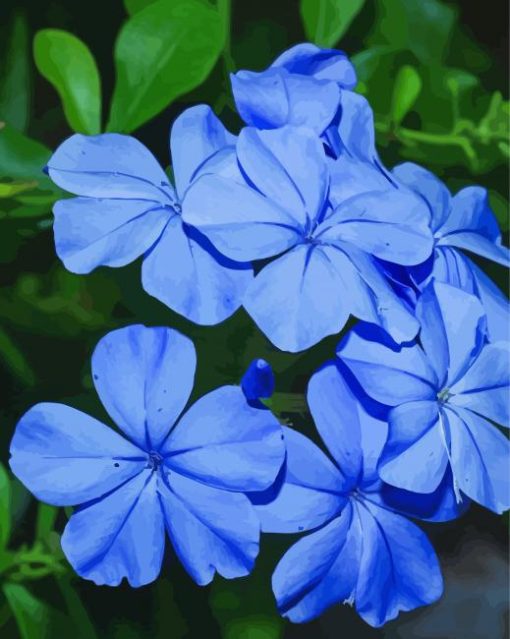 Plumbago Leadworts Diamond Paintings