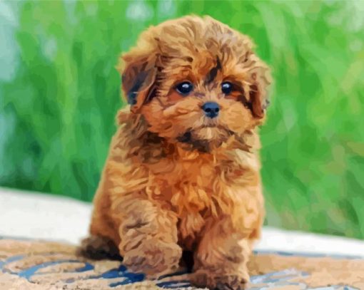 Shihpoo Puppy Diamond Paintings