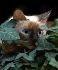 Siamese Cat And Leaves Diamond Paintings