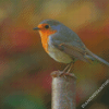 Silver And Yellow Robin Bird Diamond Paintings