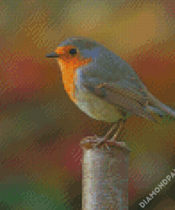 Silver And Yellow Robin Bird Diamond Paintings