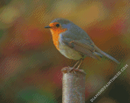 Silver And Yellow Robin Bird Diamond Paintings