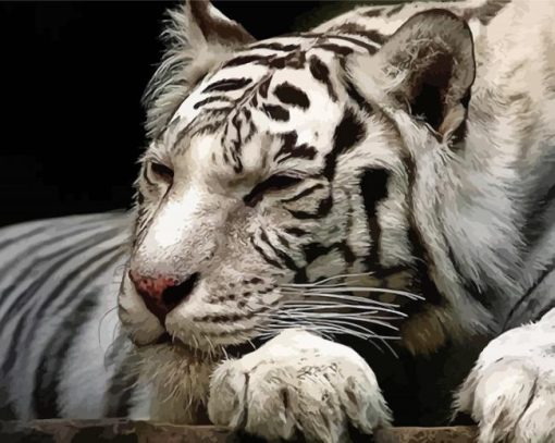 Sleepy White Siberian Tiger Diamond Paintings