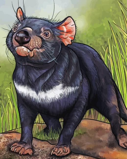 Tasmanian Devil Diamond Paintings