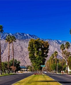 Trees In Between On Side Of Roads Palm Springs Diamond Paintings