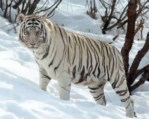 White Siberian Tiger Diamond Paintings