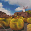 Windmill Lanzarote Diamond Paintings