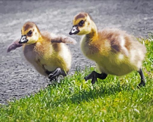 Adorable Canada Geese Goslings Diamond Paintings