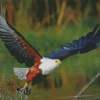 African Fish Eagle Bird Diamond Paintings