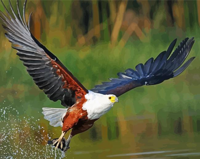 African Fish Eagle Bird Diamond Paintings