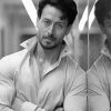 Black And White Tiger Shroff Diamond Paintings