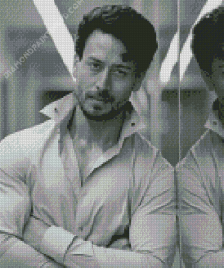 Black And White Tiger Shroff Diamond Paintings