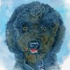 Black Poodle Puppy Art Diamond Paintings