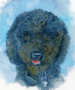 Black Poodle Puppy Art Diamond Paintings