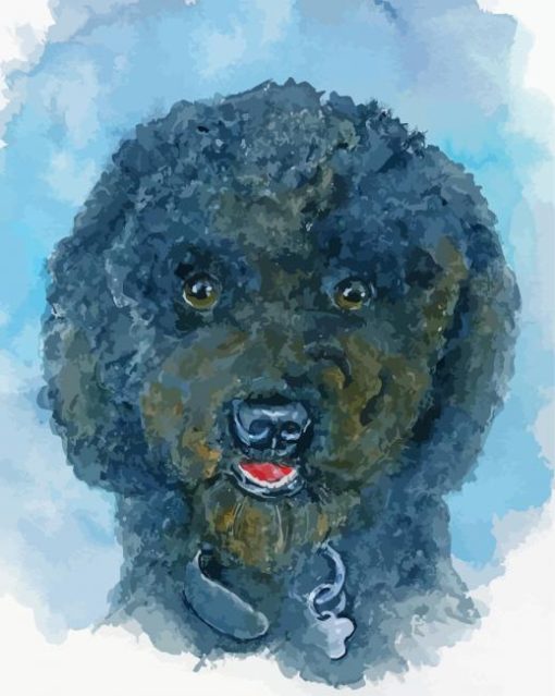 Black Poodle Puppy Art Diamond Paintings