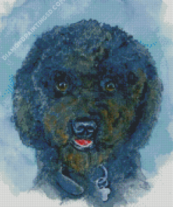 Black Poodle Puppy Art Diamond Paintings