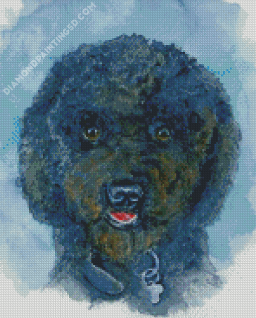 Black Poodle Puppy Art Diamond Paintings