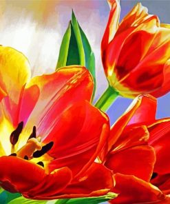 Blooming Orange Tulips Diamond Paintings