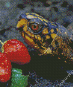 Box Turtle And Strawberry Diamond Paintings