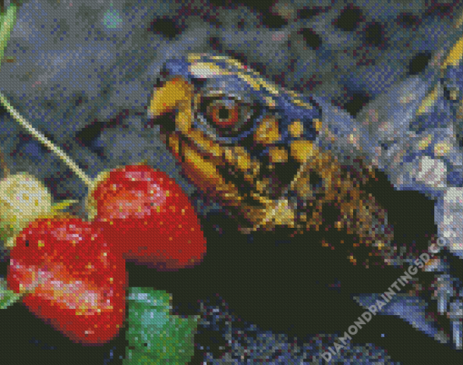 Box Turtle And Strawberry Diamond Paintings