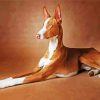 Brown Podenco Diamond Paintings