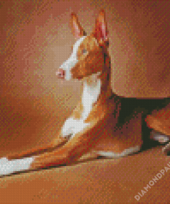 Brown Podenco Diamond Paintings