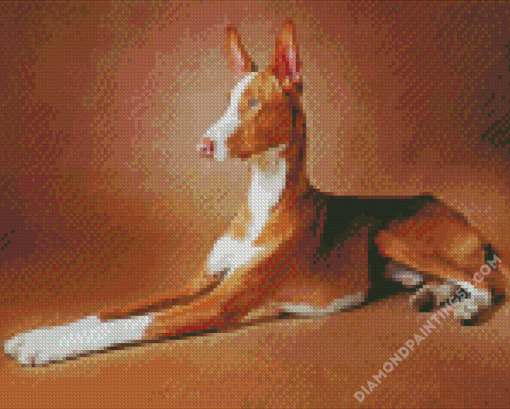 Brown Podenco Diamond Paintings