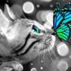 Butterfly On Cat Diamond Paintings