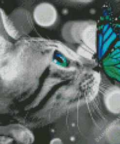 Butterfly On Cat Diamond Paintings