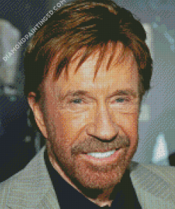 Chuck Norris Diamond Paintings